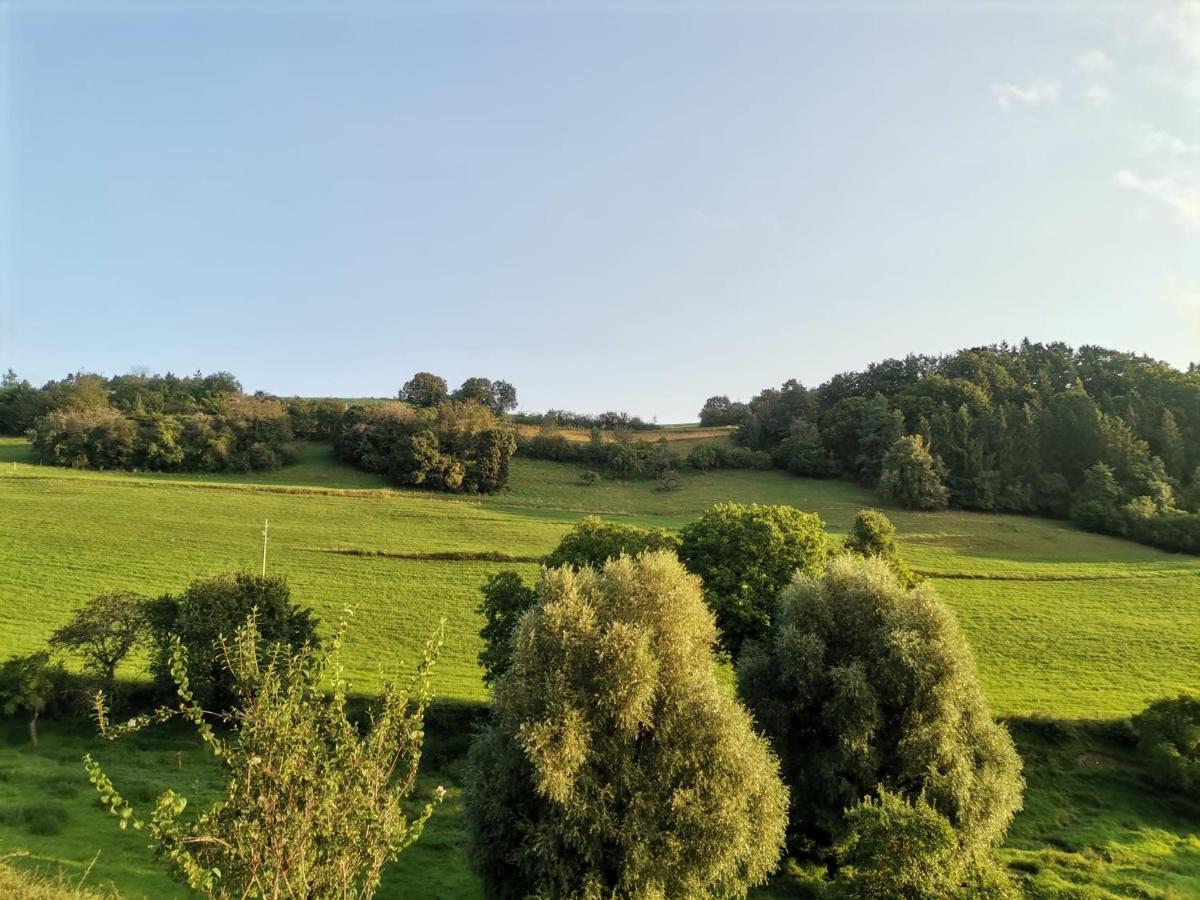 Thomas Appartement Stuhlingen Exteriér fotografie